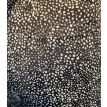 Sequoia Christy flared broek print zwart/wit 