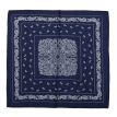 Sequoia Shawl paisley blue 