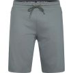 North Mason sweat shorts dark dust green 