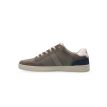 Australian Milan grey/blue/white 