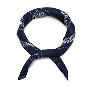 Sequoia Shawl paisley blue