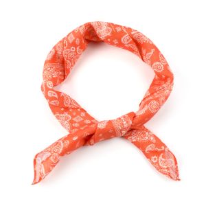 Sequoia Shawl paisley orange